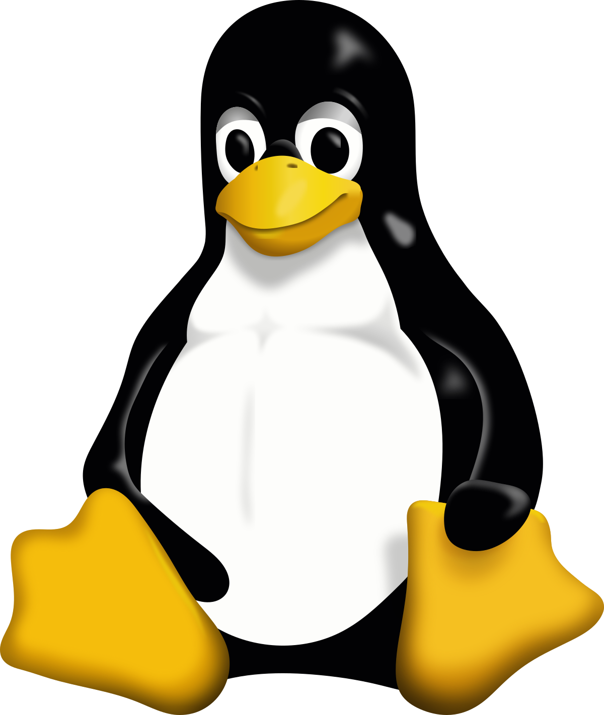 linux_image