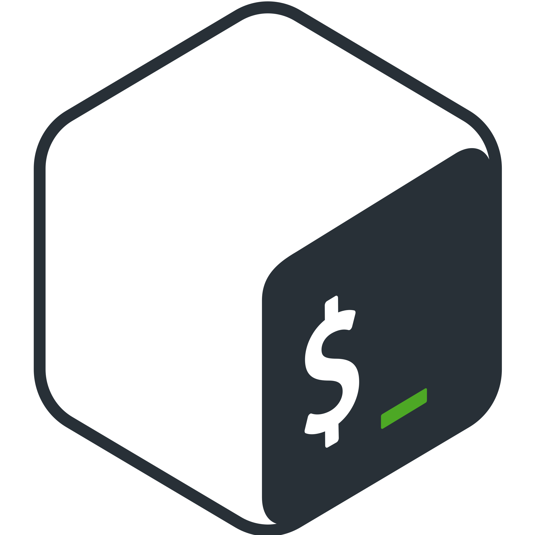 bash_image